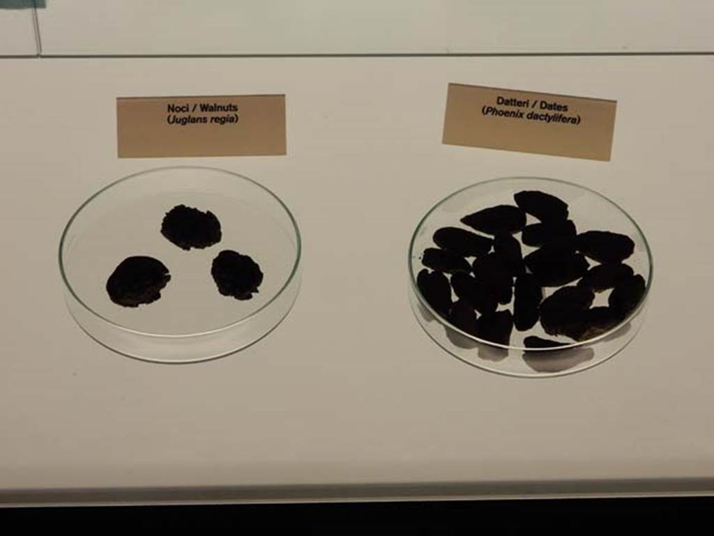 Herculaneum, May 2016. 
Carbonised Walnuts/(Noci), on left, not necessarily the same walnuts as found in the Bar of Priapus
Photo courtesy of Buzz Ferebee.

