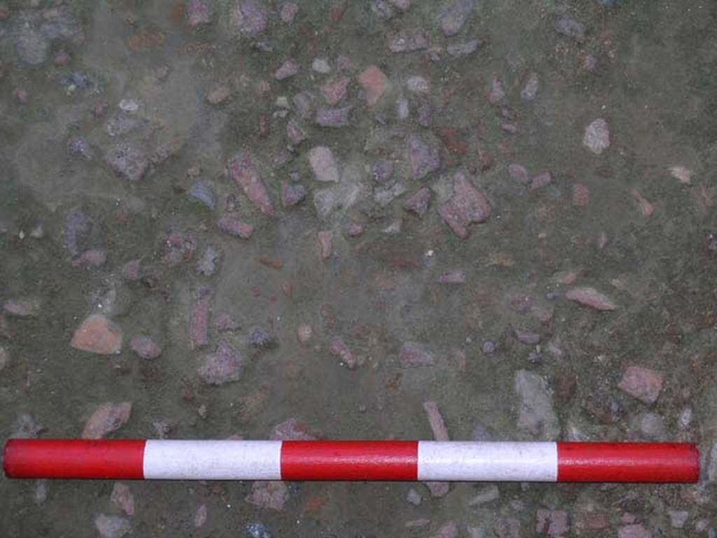 IV.17, Herculaneum, May 2004. Detail of flooring. Photo courtesy of Nicolas Monteix.