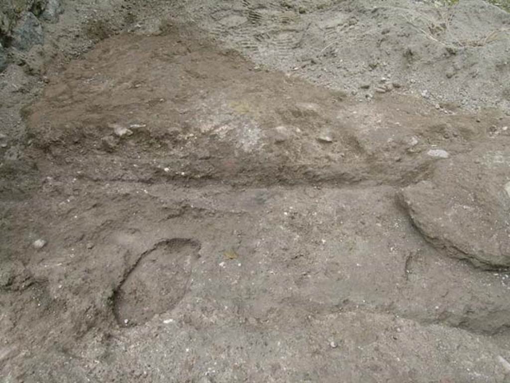 IV.18 Herculaneum, May 2005. Room 6, detail from threshold. Photo courtesy of Nicolas Monteix.