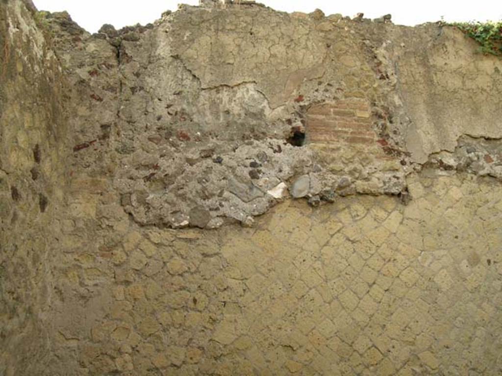 IV.18 Herculaneum, May 2005. Room 6, looking towards upper west wall in south-west corner. Photo courtesy of Nicolas Monteix.