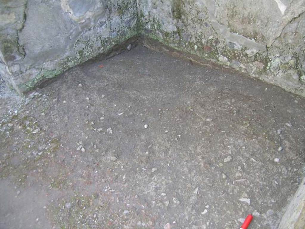 IV.18, Herculaneum, May 2004. Detail of flooring at south end of room 9. Photo courtesy of Nicolas Monteix.