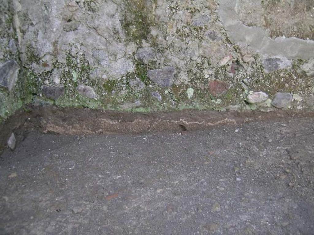 IV.18, Herculaneum, May 2004. Room 9 floor and base of south wall. Photo courtesy of Nicolas Monteix.