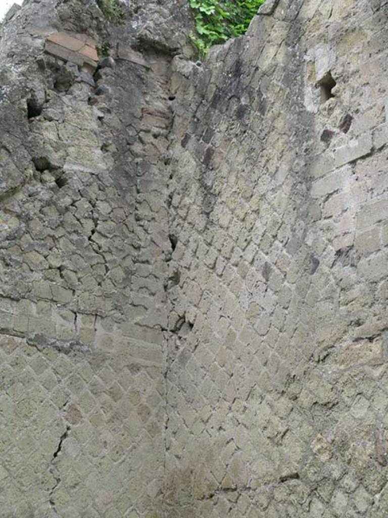 IV.19, Herculaneum, May 2005. Detail from upper south-west corner.
Photo courtesy of Nicolas Monteix.
