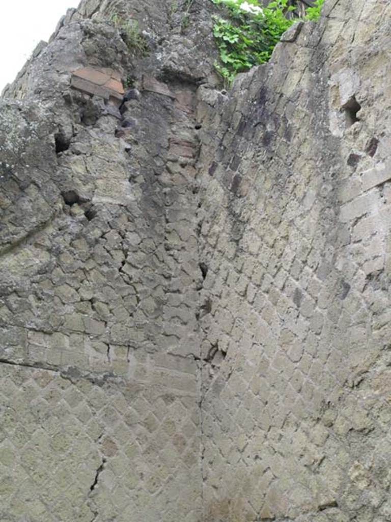 IV.19, Herculaneum, May 2005. Detail from upper south-west corner.
Photo courtesy of Nicolas Monteix.
