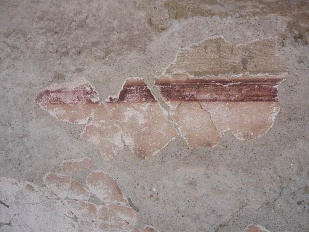 V.5 Herculaneum. August 2013. Remains of painted plaster on north side of entrance doorway. Photo courtesy of Buzz Ferebee.