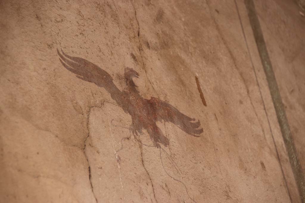 V.5 Herculaneum, September 2017. Detail of painted bird from upper north wall of entrance corridor.
Photo courtesy of Klaus Heese. 

