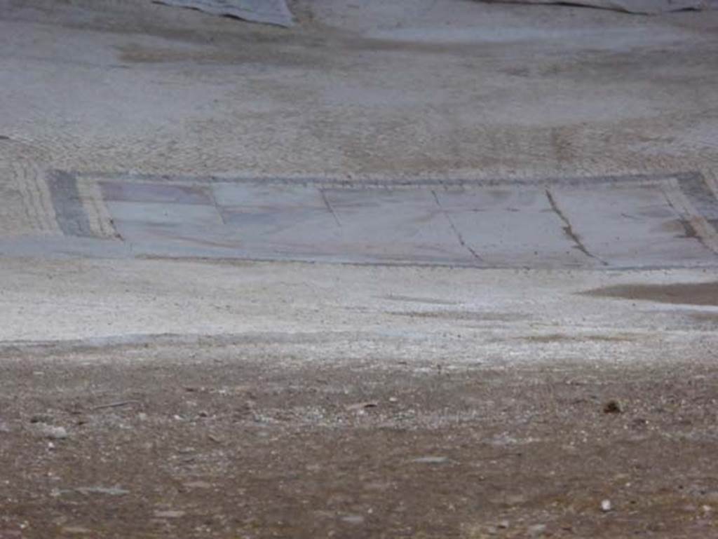 V.5 Herculaneum, September 2015. 
Detail of a central marble emblems set into mosaic tablinum flooring, photo taken from entrance doorway. Photo courtesy of Michael Binns.

