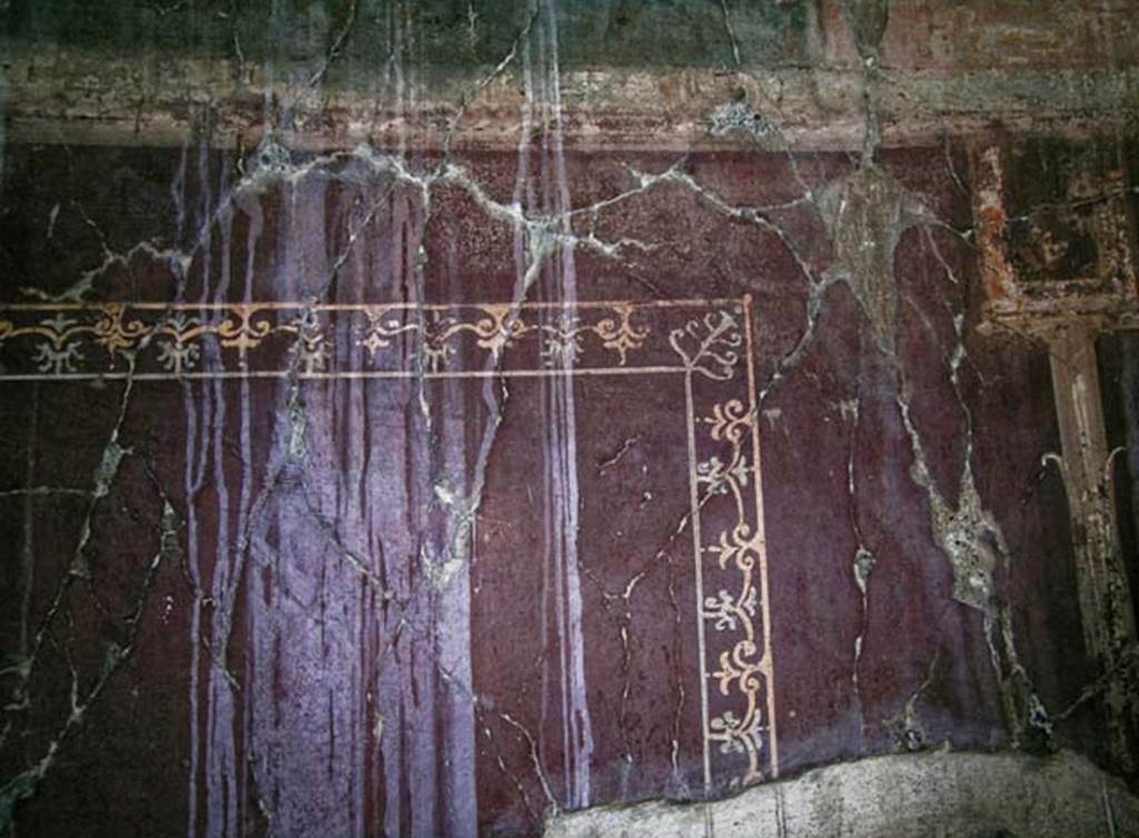 V.5, Herculaneum. May 2005. Room 8, detail of painted panel at west end of north wall, with edging of a carpet border.  
Photo courtesy of Nicolas Monteix.
