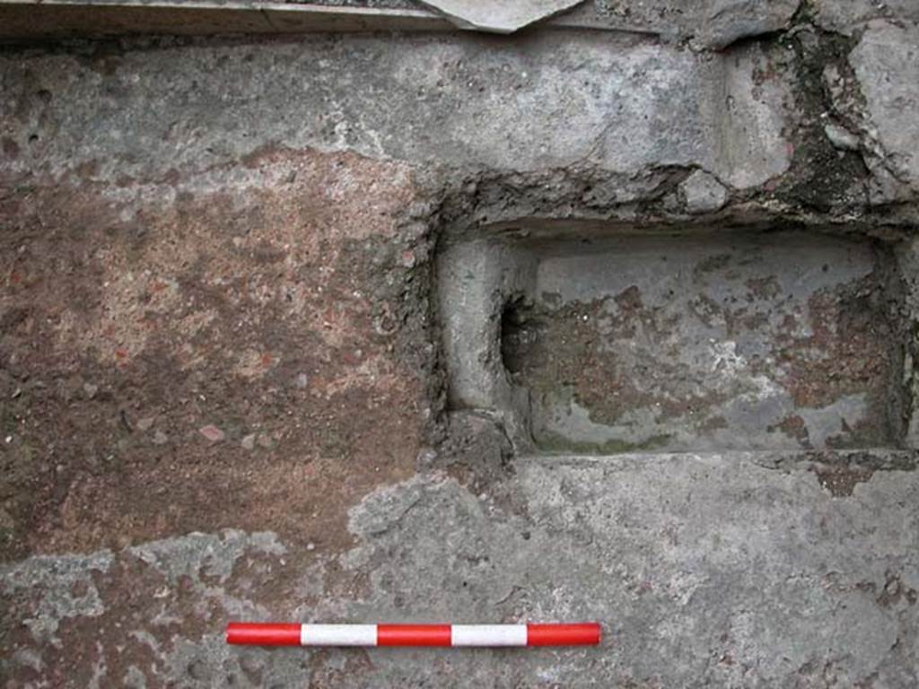 V.7, Herculaneum. September 2003.  Looking north, detail from near east wall of internal courtyard.
Photo courtesy of Nicolas Monteix.
