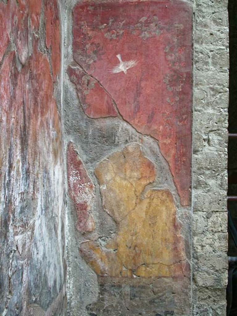 V.7, Herculaneum. June 2002.  South wall at east end of internal courtyard.
On the right is the doorway from the triclinium.
Photo courtesy of Nicolas Monteix.
