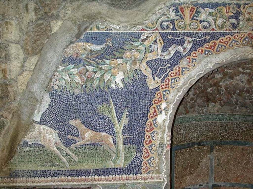 V.7, Herculaneum. September 2003. Detail from west end of north wall of internal courtyard. 
Photo courtesy of Nicolas Monteix.
