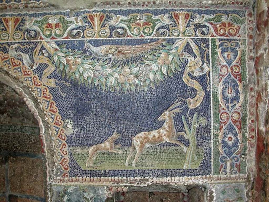 V.7, Herculaneum. September 2003. Detail from east end of north wall of internal courtyard. 
Photo courtesy of Nicolas Monteix.
