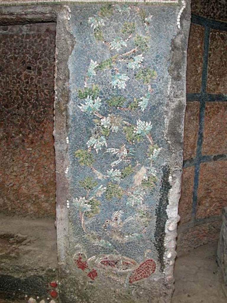 V.7, Herculaneum, September 2003. Detail from west side of niche on north wall. 
Photo courtesy of Nicolas Monteix.
