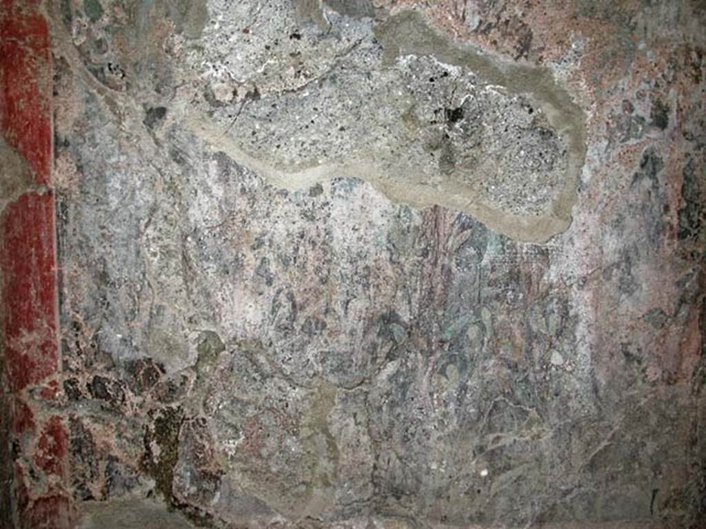 V.7, Herculaneum. September 2003. Detail from west end of north wall, as in Jashemski picture, above. Photo courtesy of Nicolas Monteix.

