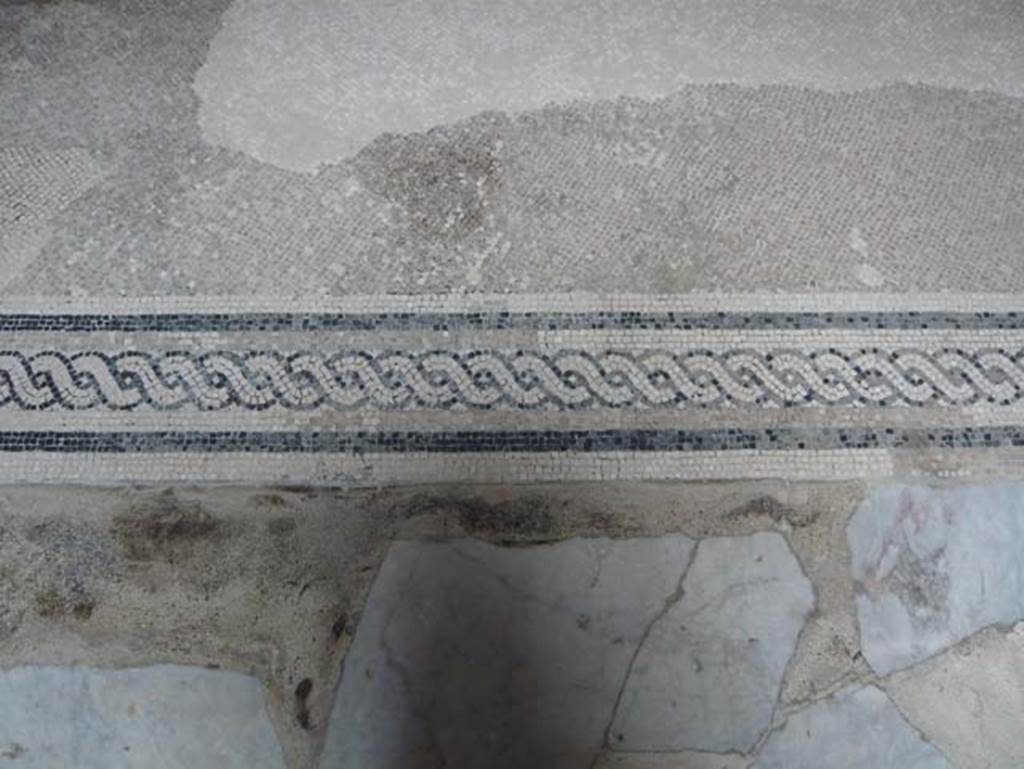 V.8 Herculaneum, August 2013. Room 7, threshold and floor of the large salon. Photo courtesy of Buzz Ferebee.