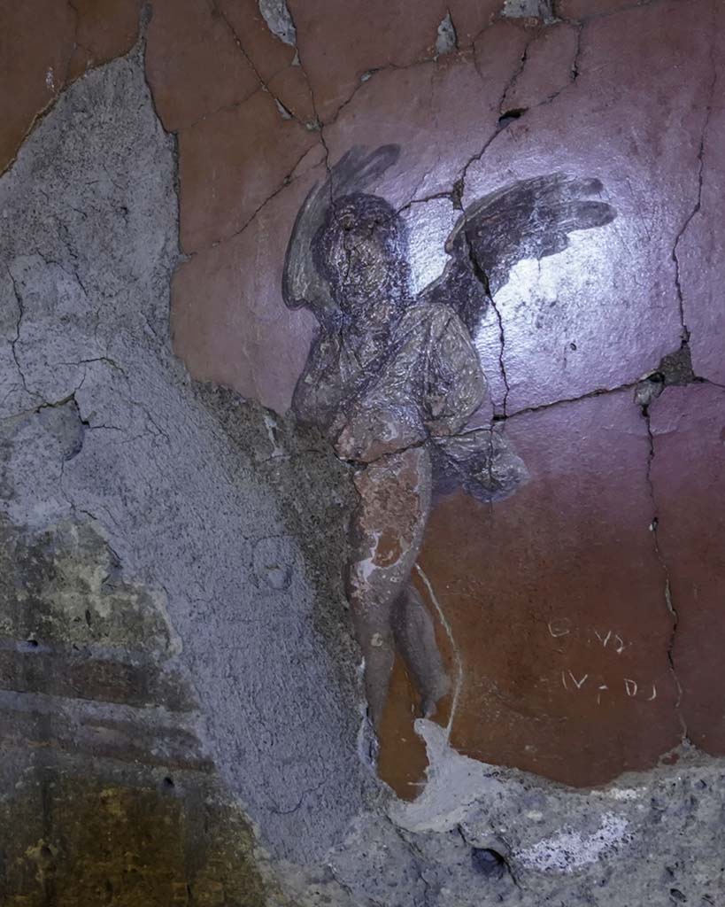 V.8 Herculaneum. August 2021. 
Room 7, painted cupid from west side of north wall. Photo courtesy of Robert Hanson
