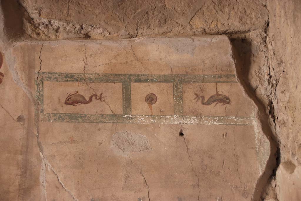 V.8 Herculaneum. September 2021. 
Room 1, detail of painted decoration from east end of north wall in entrance hall. Photo courtesy of Klaus Heese.
