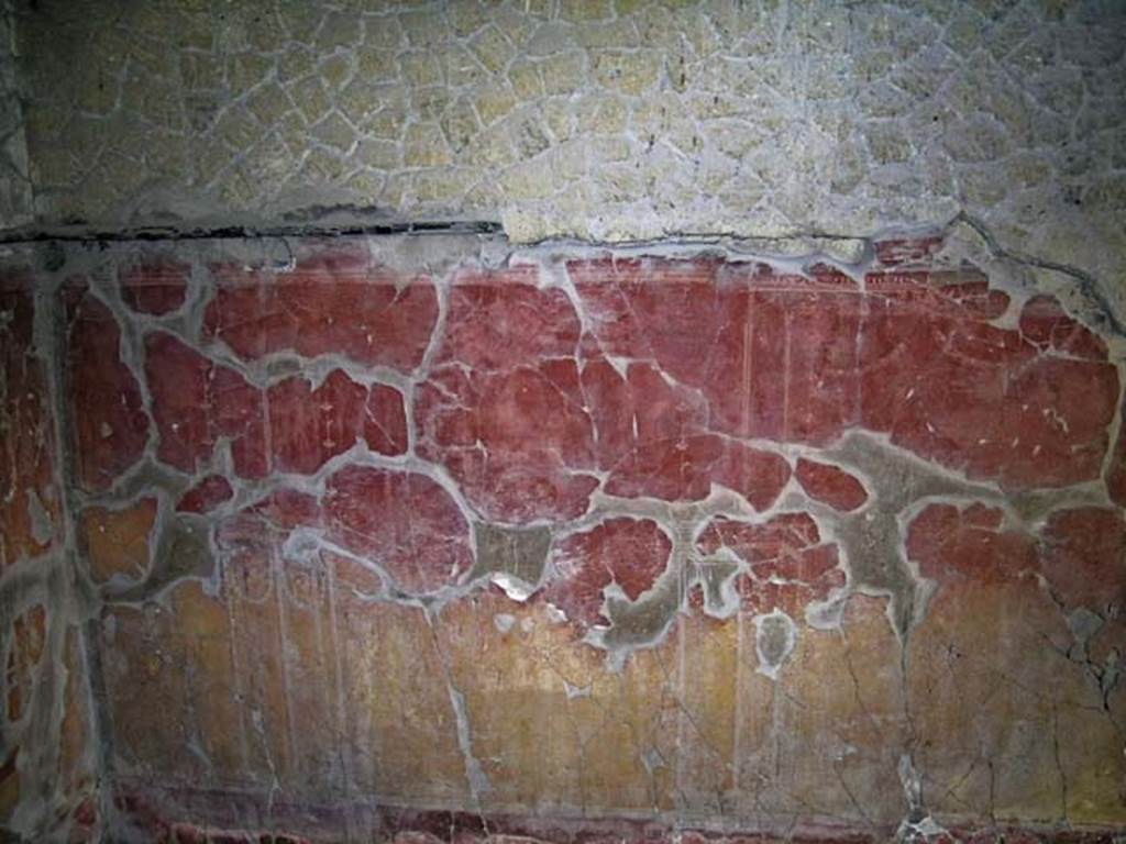 V.17, Herculaneum. May 2004. Detail from west wall at south end. Photo courtesy of Nicolas Monteix.

