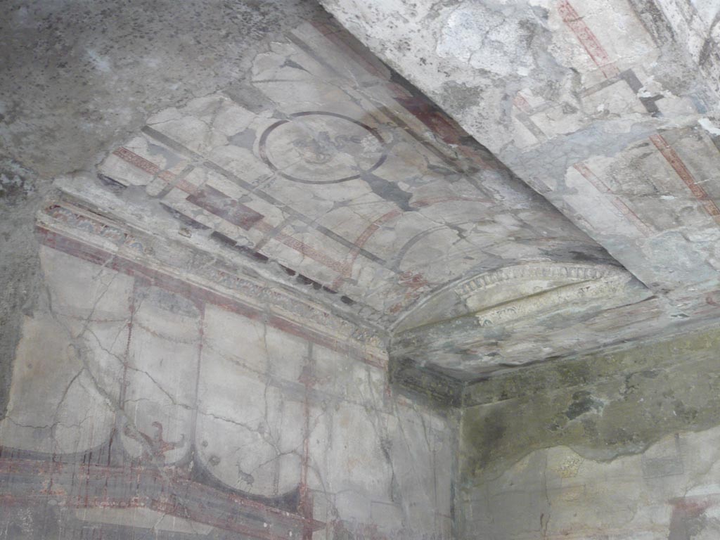 V.30 Herculaneum. August 2013. Room 7, upper east wall and vaulted south-east end of ceiling. Photo courtesy of Buzz Ferebee.