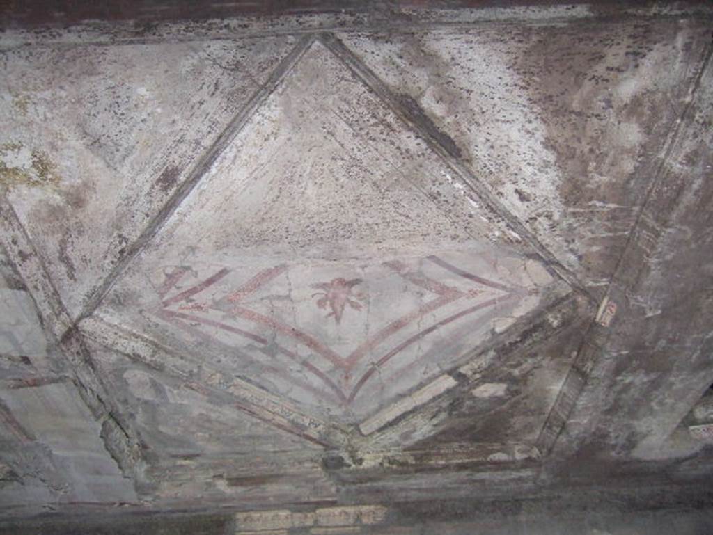 V. 30 Herculaneum, May 2006. Room 7, looking south across central flat part of ceiling. 