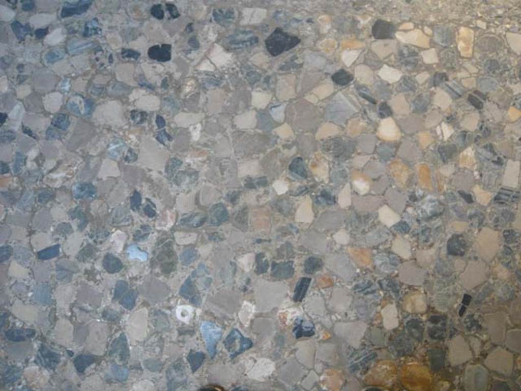 VI.1, Herculaneum. August 2013. Detail of floor in opus segmentatum in black, grey and white marble. Photo courtesy of Buzz Ferebee.
