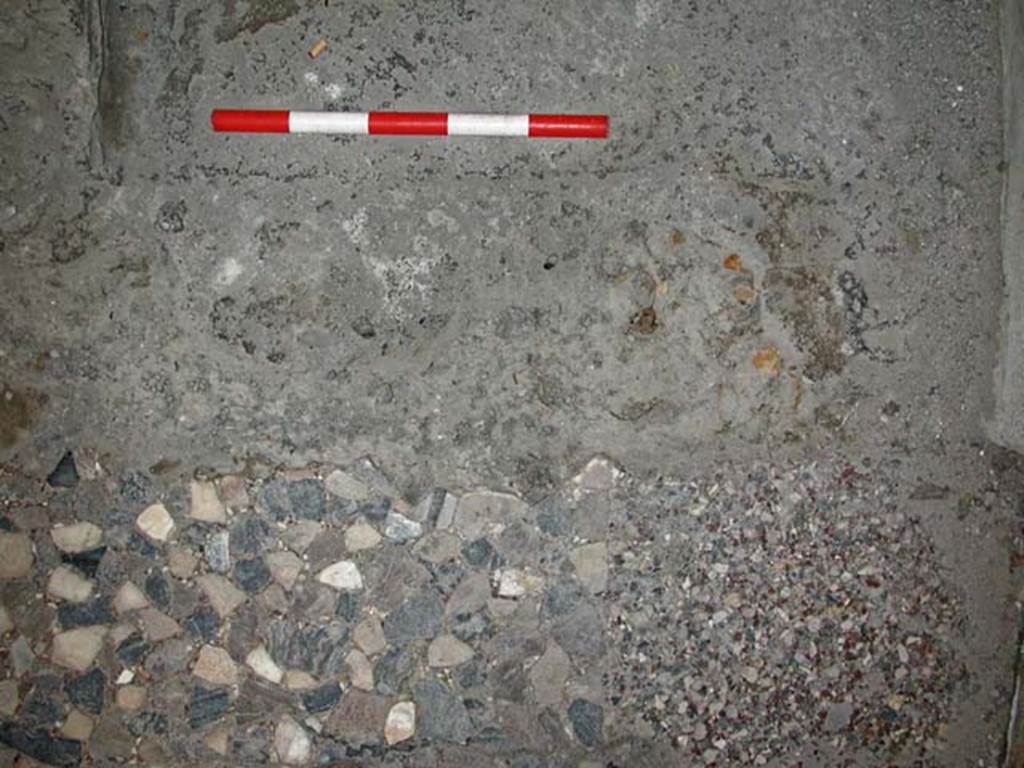 VI.1, Herculaneum. September 2003. Looking west at detail of flooring in north-west corner of apodyterium. 
Photo courtesy of Nicolas Monteix.
