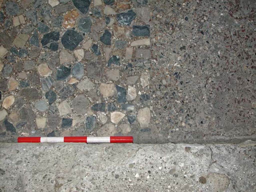 VI.1, Herculaneum. September 2003. Looking south across detail of flooring in north-west corner of apodyterium.
Photo courtesy of Nicolas Monteix.

