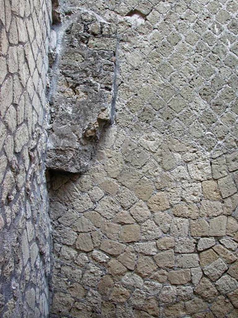 VI.1/7, Herculaneum. September 2003. Detail from north wall in north-west corner.
Photo courtesy of Nicolas Monteix.
