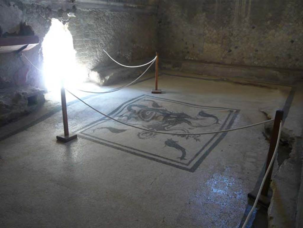 VI.1, Herculaneum. August 2013. Looking east across mosaic floor of tepidarium, towards the doorway to the caldarium. Photo courtesy of Buzz Ferebee.
Maiuri wrote that the great tepidarium with the hollow floor, now largely caved in, has the same system of podia and shelves around it as the apodyterium.
The mosaic pavement of somewhat coarse workmanship has a representation of a galloping triton with a helm and a basket of fruit surrounded by four dolphins (the same subject as in the women’s apodyterium).
See Maiuri, Amedeo, (1977). Herculaneum. 7th English ed, of Guide books to the Museums Galleries and Monuments of Italy, No.53 (p.37).

