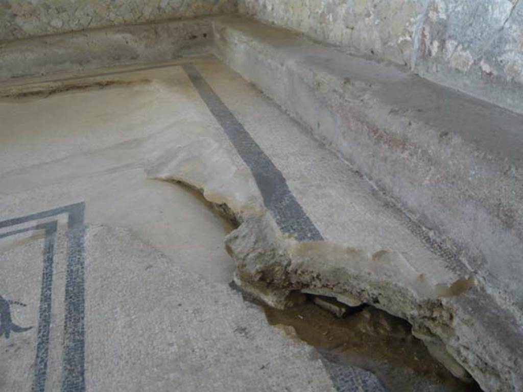 VI.1, Herculaneum. August 2013. Looking south along west side of tepidarium.
Photo courtesy of Buzz Ferebee.
