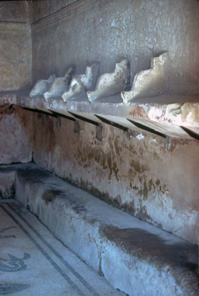 VI.1/7, Herculaneum. 7th August 1976. Looking north along east wall of tepidarium.
Photo courtesy of Rick Bauer, from Dr George Fay’s slides collection.
