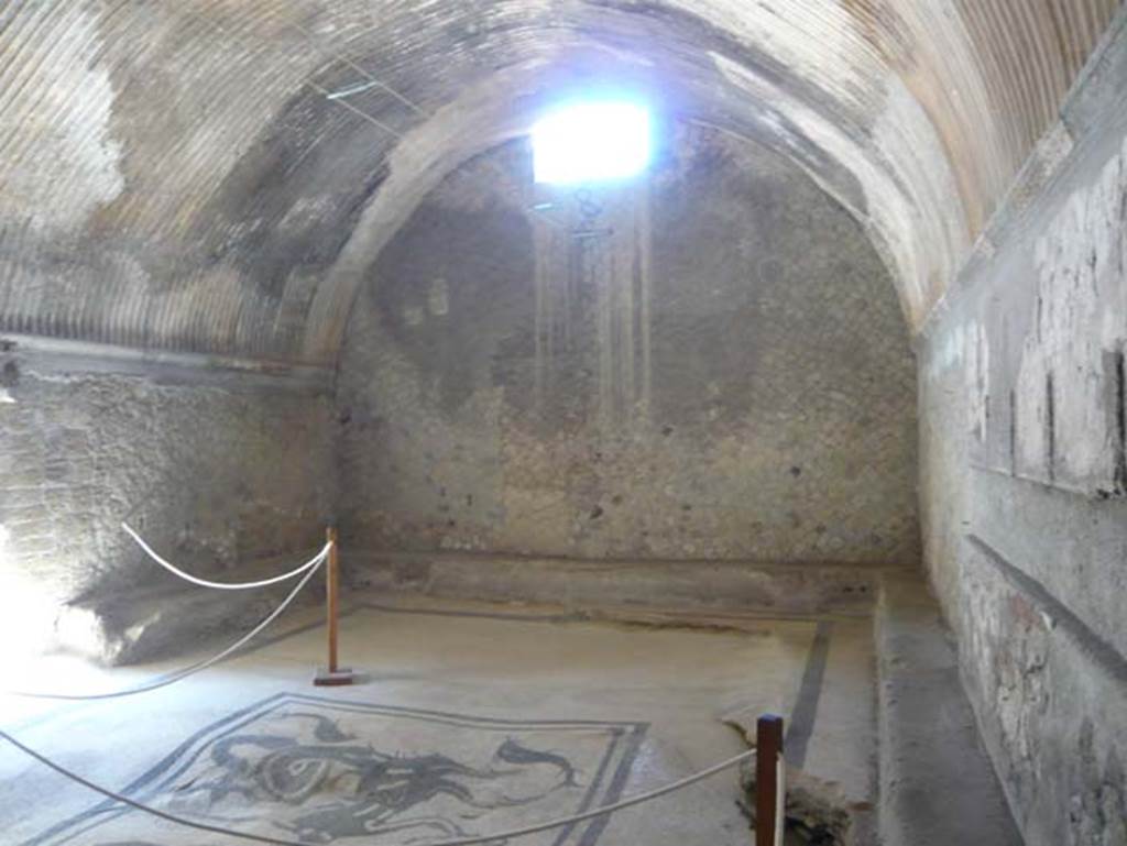 VI.1, Herculaneum. August 2013. Looking south in tepidarium. Photo courtesy of Buzz Ferebee.