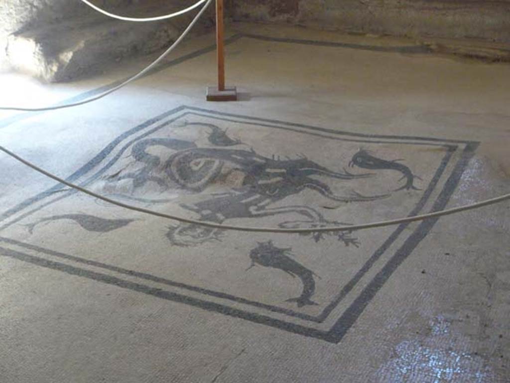 VI.1, Herculaneum. August 2013. Looking south-east across mosaic in tepidarium.  
Photo courtesy of Buzz Ferebee.
