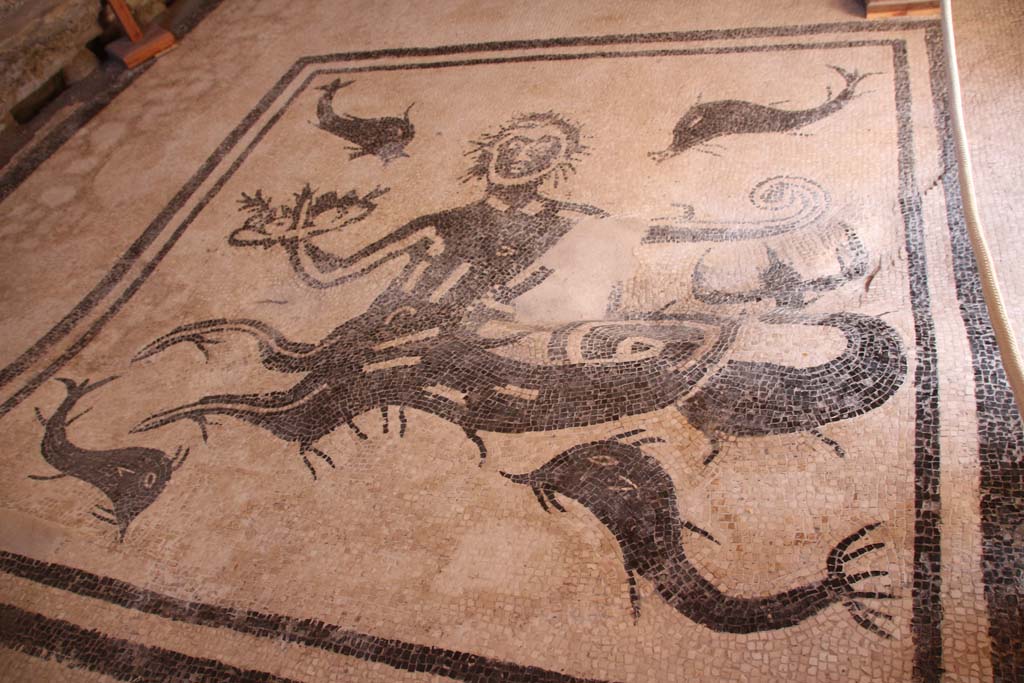 VI.1, Herculaneum. April 2014.  
Looking north towards mosaic in tepidarium showing a Triton with a helm and a basket of fruit surrounded by four dolphins.
Photo courtesy of Klaus Heese.
