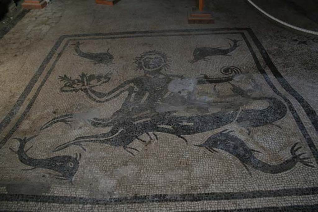 VI.1/7, Herculaneum. March 2008. Looking north across mosaic floor in tepidarium. Photo courtesy of Sera Baker.