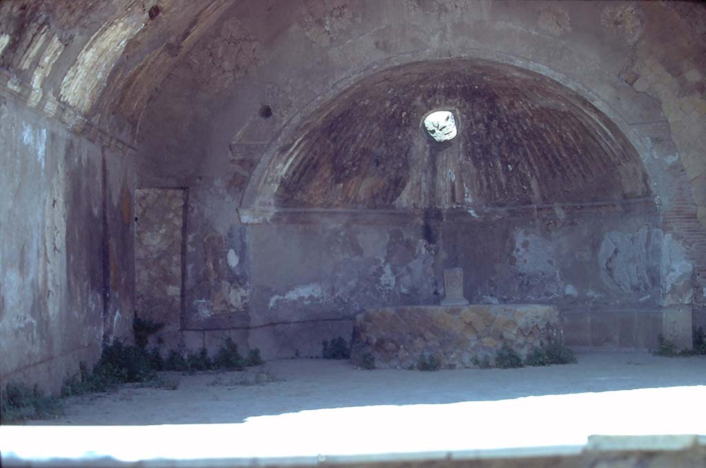 VI.1/7, Herculaneum. 7th August 1976. Looking towards south end of caldarium. 
Photo courtesy of Rick Bauer, from Dr George Fay’s slides collection.
