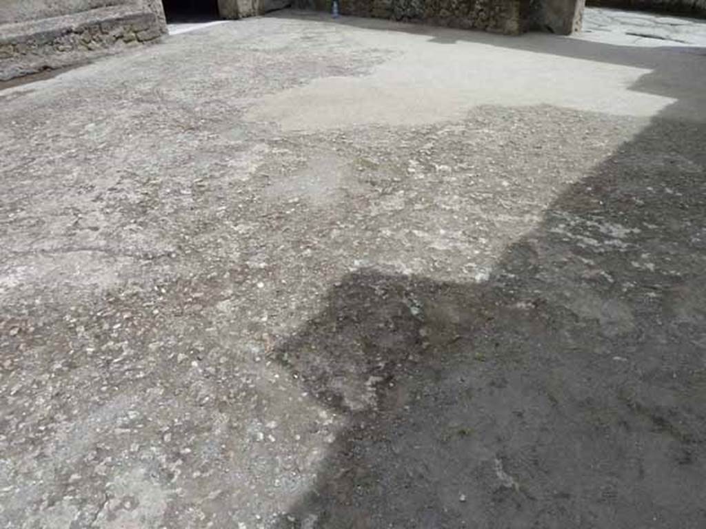 VI.8, Herculaneum. May 2010. Vestibule flooring.