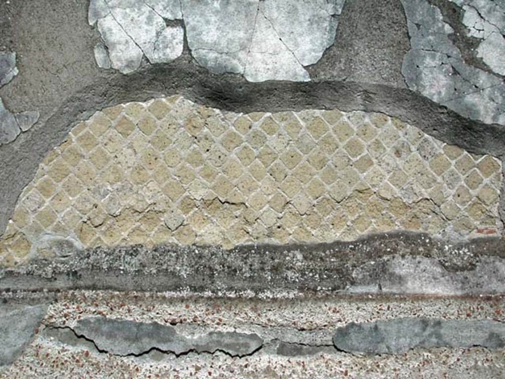 VI.8, Herculaneum. September 2003. Detail from north wall. Photo courtesy of Nicolas Monteix.