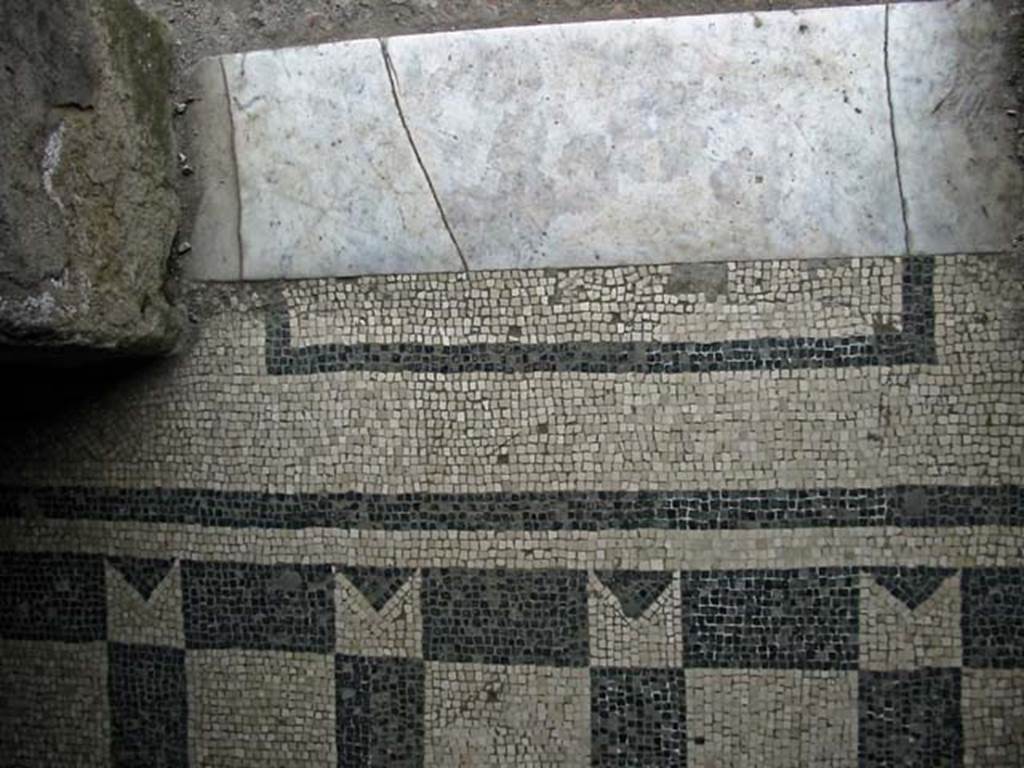 VI.8 Herculaneum. May 2003. Threshold of doorway from apodyterium anteroom to vestibule. Photo courtesy of Nicolas Monteix.