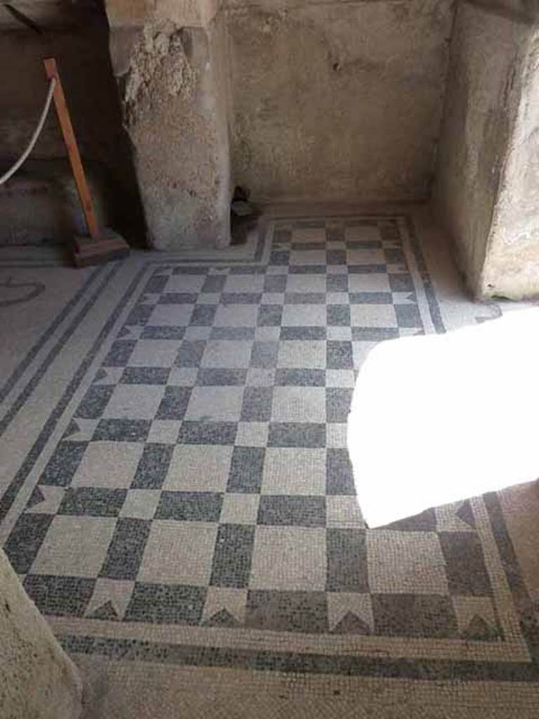 VI. 8, Herculaneum. May 2010. Looking east across black and white mosaic flooring in anteroom of apodyterium.
