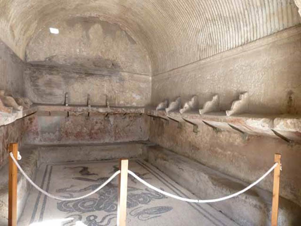 VI.8 Herculaneum. May 2010. 
Looking north-east across the changing room or apodyterium of the women’s baths.
This is, as described by Maiuri, the small charming apodyterium with the usual shelf with recesses running around it and a strigulated stucco vault; the mosaic pavement is similar to that in the tepidarium of the men’s baths: a large Triton in the centre surrounded by dolphins, polyps and eels.
