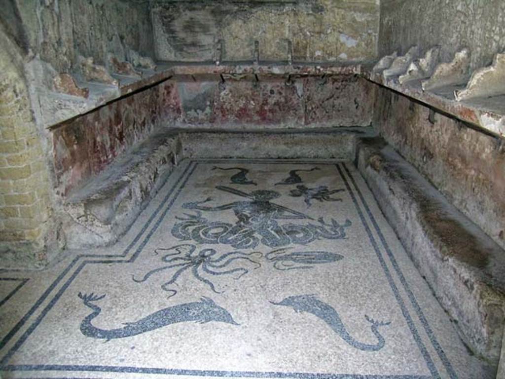 VI.8, Herculaneum. April 2007. Looking north. Photo courtesy of Nicolas Monteix.