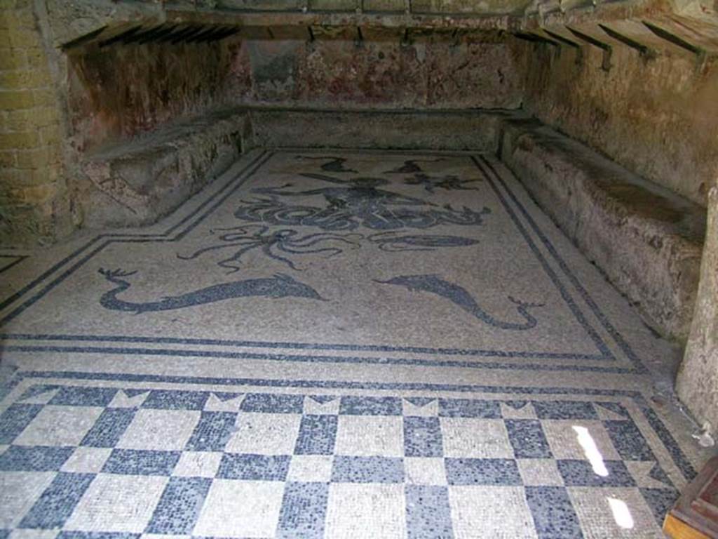 VI.8, Herculaneum. April 2007. Looking north across flooring of anteroom towards changing room or apodyterium.
Photo courtesy of Nicolas Monteix.
