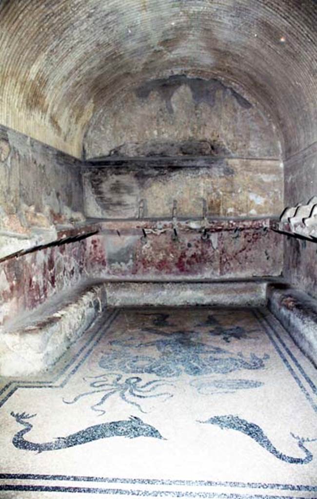 VI.8, Herculaneum. October 2001. Looking north across the changing room or apodyterium of the women’s baths. Photo courtesy of Peter Woods.
