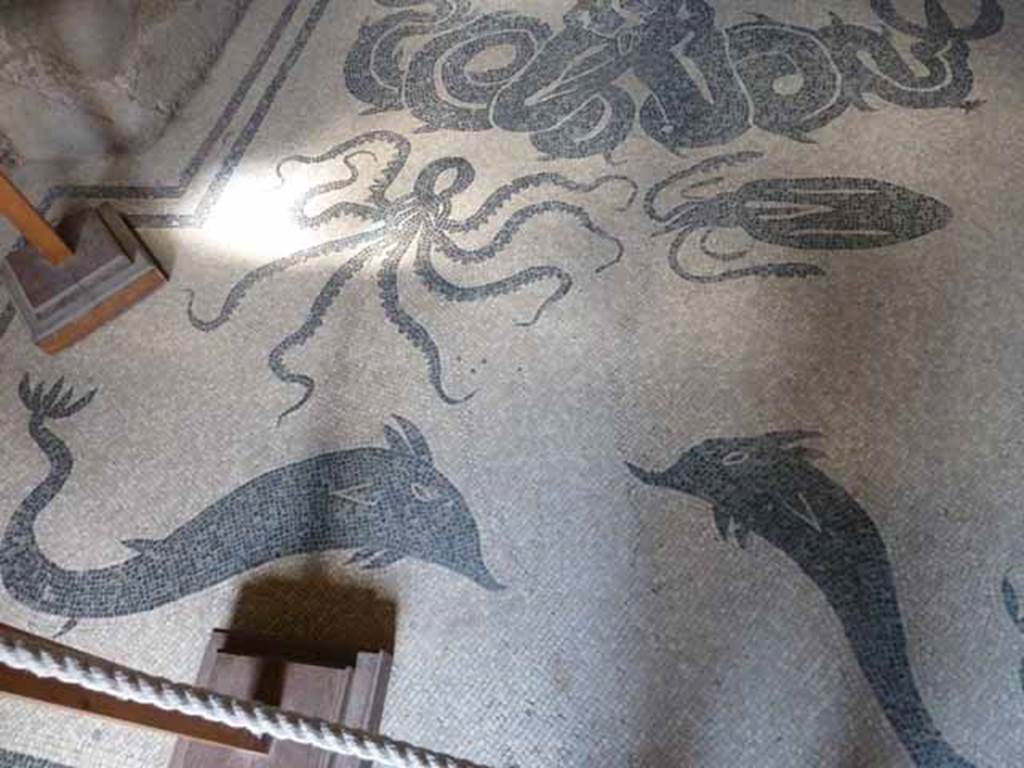 VI.8, Herculaneum. May 2010. Black and white mosaic of sea-creatures and dolphins, at south end of floor.