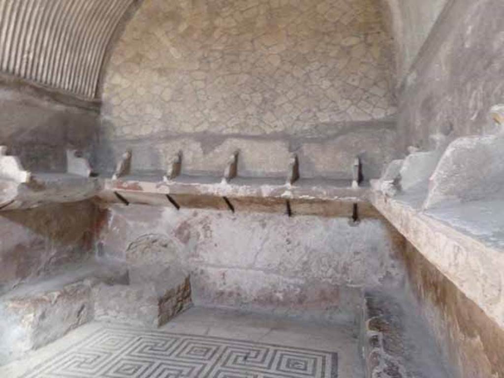 VI.8, Herculaneum. May 2010. North wall of tepidarium.