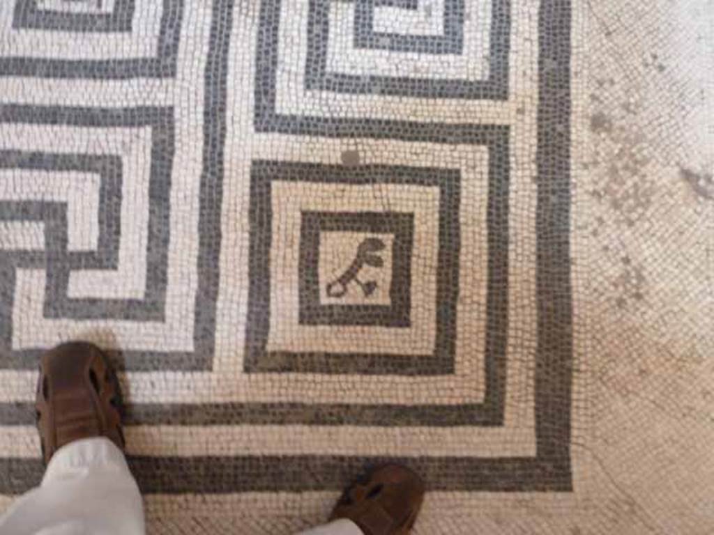 VI.8, Herculaneum. May 2010. Detail of meandering mosaic floor in tepidarium.