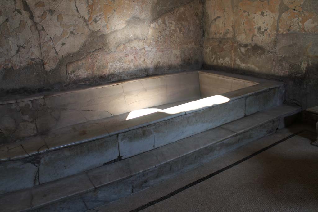 VI.8 Herculaneum. March 2014. Looking towards east end of pool.
Foto Annette Haug, ERC Grant 681269 DÉCOR

