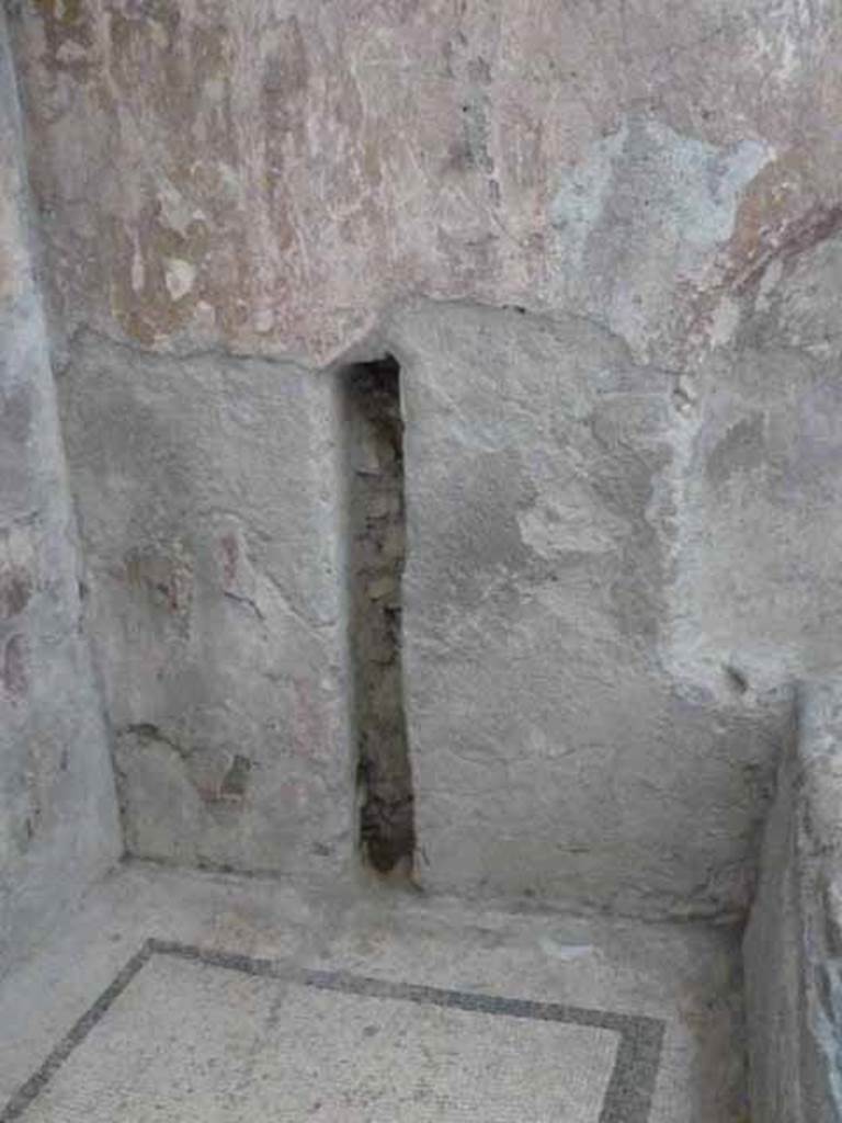 VI.8, Herculaneum. May 2010. South wall.