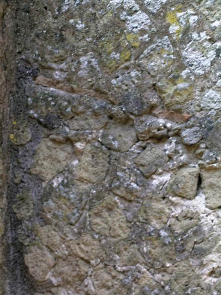 VI.13/11, Herculaneum. May 2004. Detail of south wall of rustic storeroom in south-east corner. 
Photo courtesy of Nicolas Monteix.

